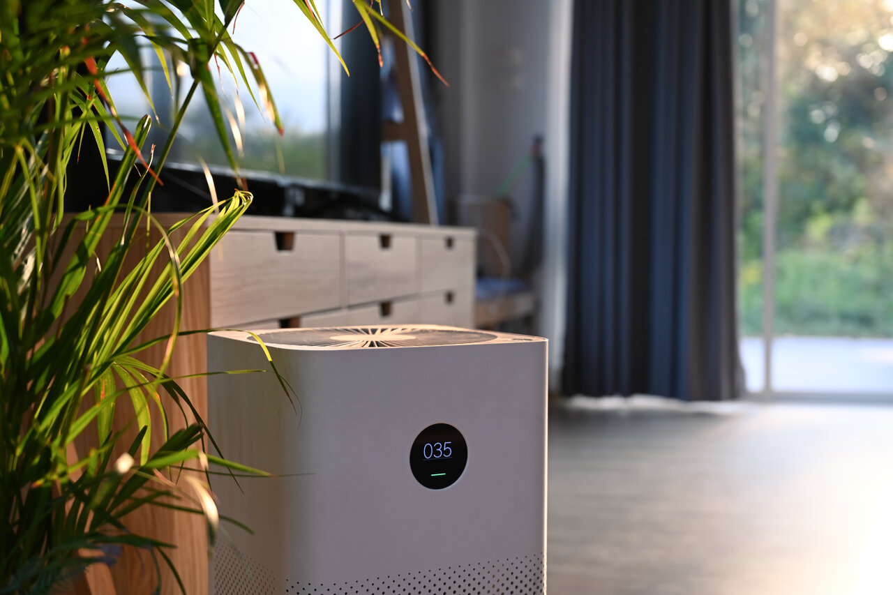 Air purifier with digital monitor screen and house plant in livi